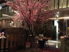 -金轩中餐厅 Jin Xuan(浦东丽思卡尔顿酒店)