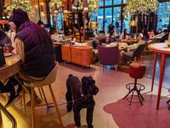-THE CANNERY&JUJU 新鲜海鲜·牛排美食酒廊