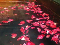 -北京美神宫艺术主题温泉酒店