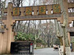 -灵谷景区