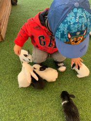 -萌宠亲子动物乐园(槐房万达店)