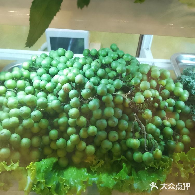 想吃美食的快来呀！