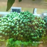 想吃美食的快来呀！
