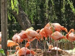 -石家庄市动物园