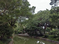 -荔湾湖公园