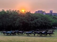 -广州雕塑公园