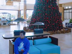 -三亚海棠湾喜来登度假酒店