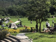 -黄埔油麻山森林公园