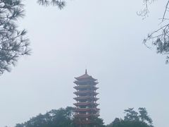 -缙云山景区
