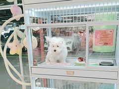 -FAELING PETS美天灵宠物(合生汇店)