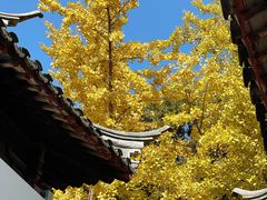 -西园戒幢律寺