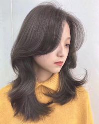 -艺之剪