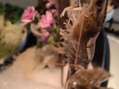 -享月汤皇·海鲜小火锅·聚会(曲江创意谷店)