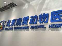 -北京观赏动物医院·24小时大型综合·猫专科·异宠专科