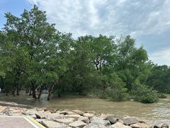 -宝安西湾红树林湿地公园