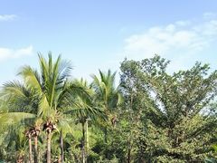 -三亚海棠湾万丽度假酒店