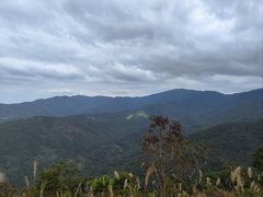 -海南霸王岭国家森林公园