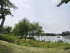 -上海长兴岛郊野公园