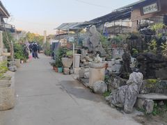 -桂林市花鸟市场