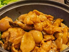 牛肝菌鸡煲-和园餐厅