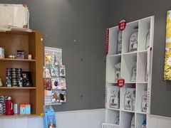 -关爱宠物医院·猫科中心·消化科(滨湖万达分院)