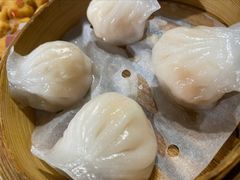 水晶虾饺皇-金翠河烧鹅餐厅(解放碑时代广场店)