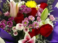 -沪花拾者(好再来花卉鲜花店)