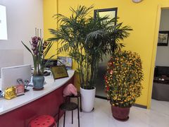 -佳禾国际美术书法教育(仁恒伊势丹校区)