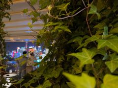-顶层酒吧ROOF(上海艾迪逊酒店)