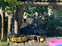 -大连森林动物园