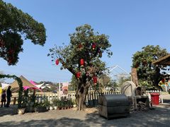 -长洲岛都市农业公园