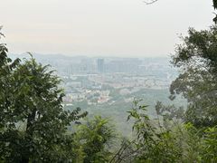 -紫金山山顶公园