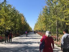 景点-野鸭湖国家湿地公园