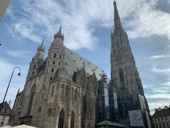 -斯蒂芬主教座堂(Stephansdom)