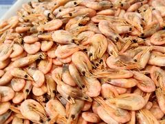 -奥士凯物美(新兴里店)