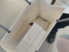 -Apple零售店(中街大悦城店)