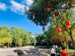 -三峡梯城
