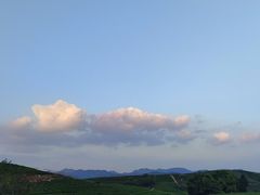 -龙坞茶村