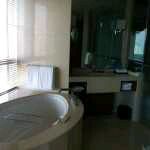 -香港尖沙咀凯悦酒店