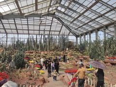 -南通洲际绿博园