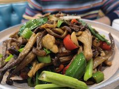 鹿茸菌炒牛肚-帕米尔食府(白云观店)