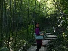 -镇江市南山风景名胜区竹林景区