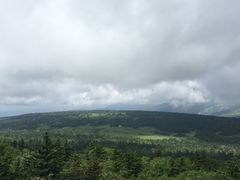 -凤凰山国家森林公园