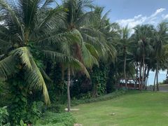 -三亚南山文化旅游区