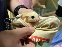 -藦茜花园宠物主题亲子互动体验馆(国顺东路店)