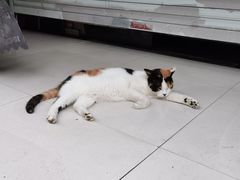 -醒味咖啡馆(南市桥巷店)