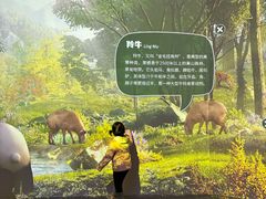 -陕西自然博物馆