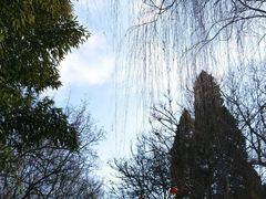 -紫竹院公园冰场
