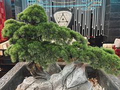 -屋有岛沉浸游戏旗舰店(中山公园店)