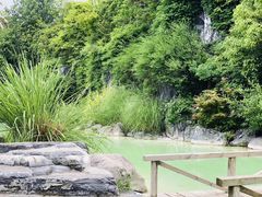 -上海吴淞炮台湾国家湿地公园